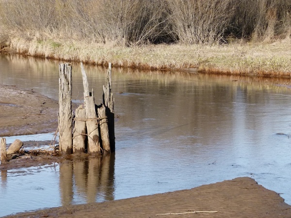 river water wooden poles
