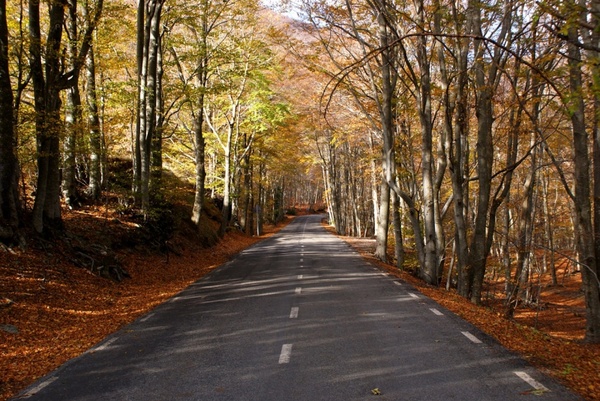 road 