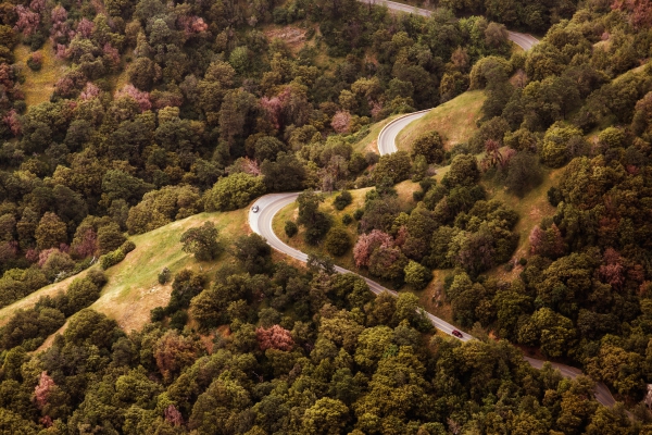 road in the forest aerial view