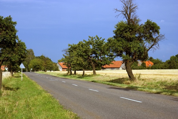 road way fields