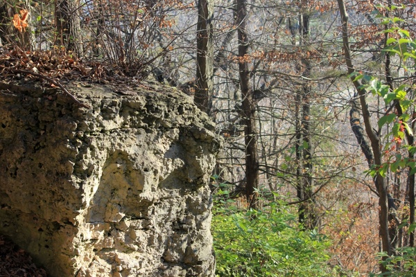 rock and forest view at bellevue state park iowa