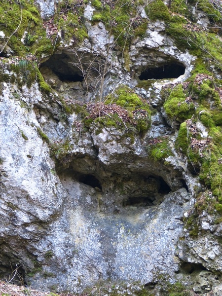 rock cave face