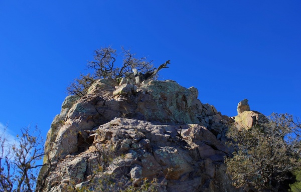 rock climb up at big bend national park texas 