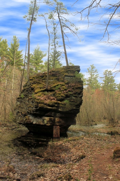 rock island in the swamp at rocky arbor state park wisconsin 