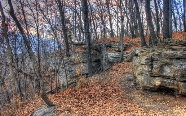 rocks in the forest at weldon springs state natural area missouri 