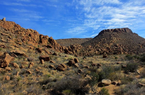 rocky desert at big bend national park texas