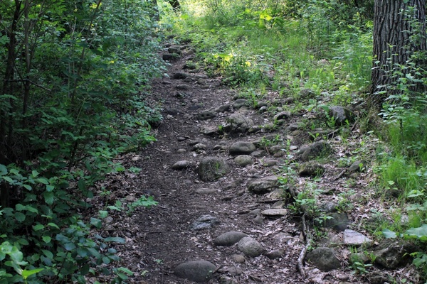 rocky path at lapham peak state park wisconsin 