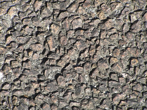 rocky rough texture