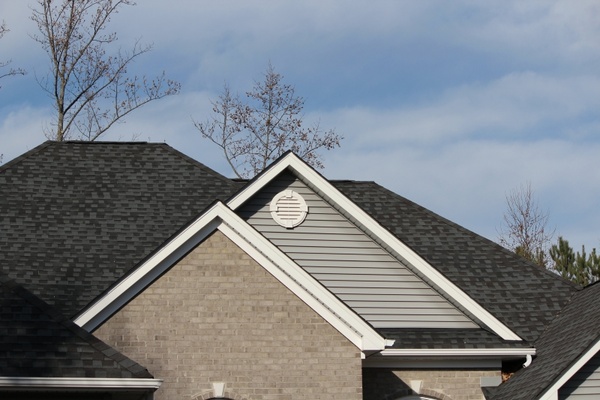 roofline shingles architectural style