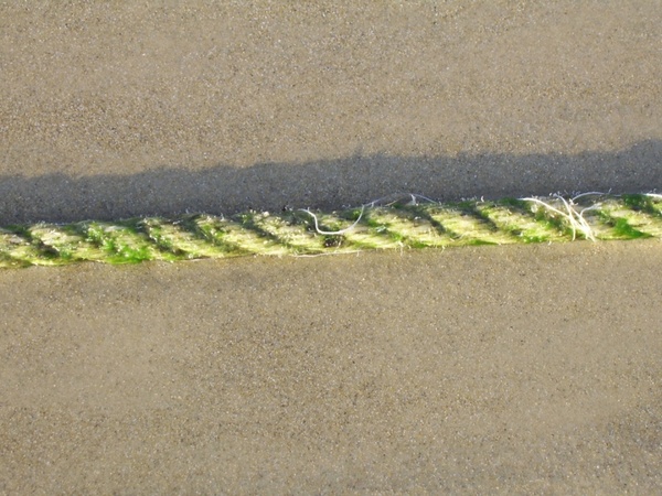 rope on beach