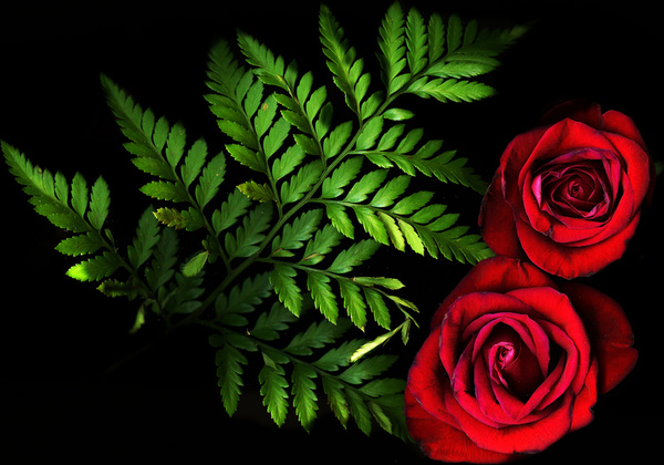 rose arrangement