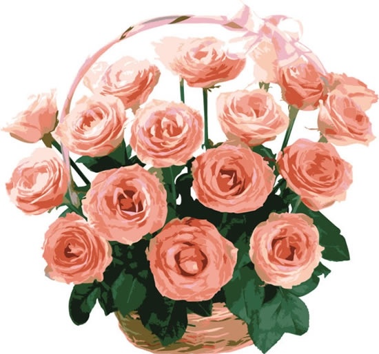 rose bouquet flowers vector