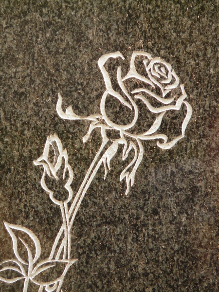 rose tombstone spiny