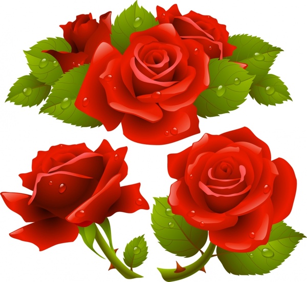 Download Rose free vector download (1,134 Free vector) for commercial use. format: ai, eps, cdr, svg ...