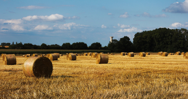 round bales to the north 