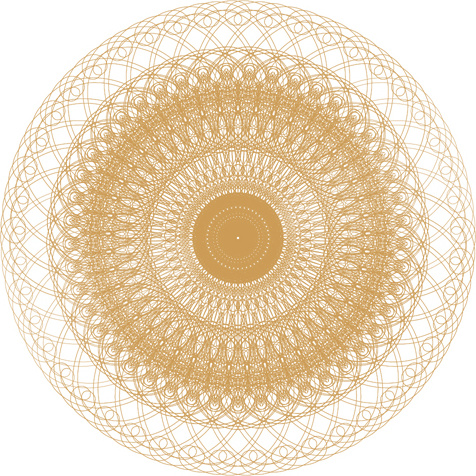 round lace ornaments background art vector