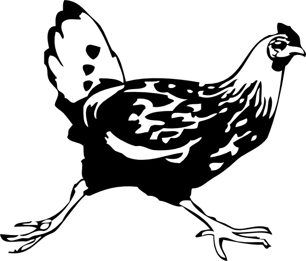 Running Chicken clip art