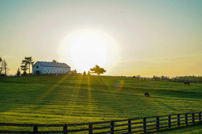rural farmland scenery picture meadow shining sunlight 