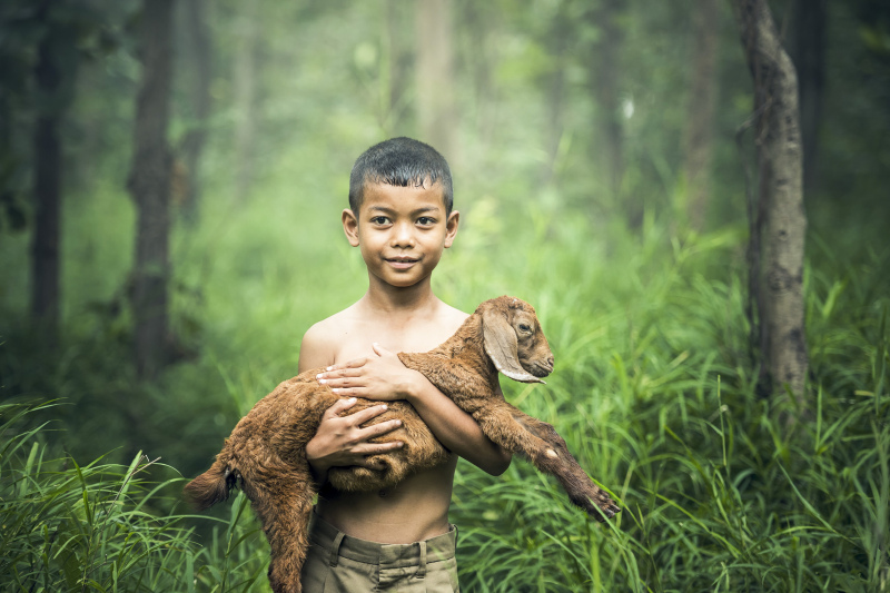 rural people picture boys holding goat