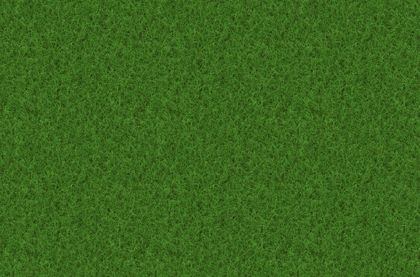rush grass texture 