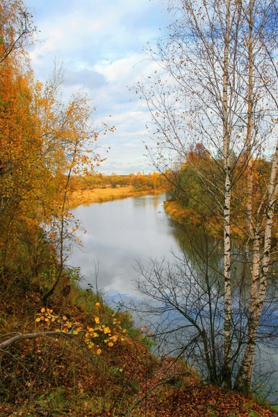 russia peksha river landscape