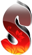 S1