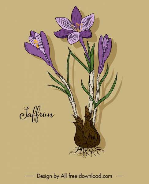 saffron flower icon colored retro design