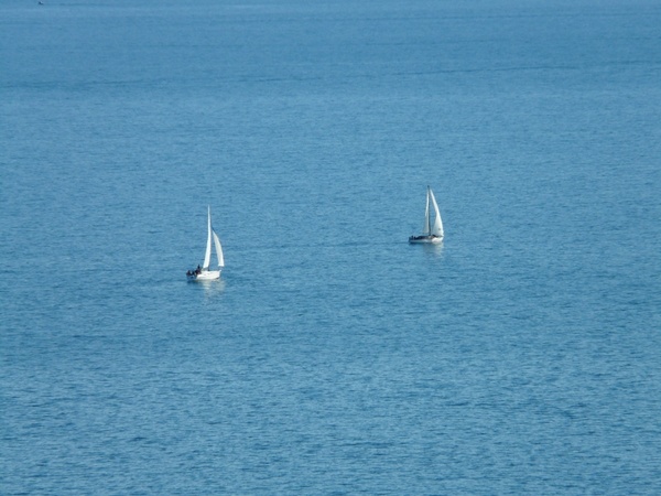 sailing boats sail water