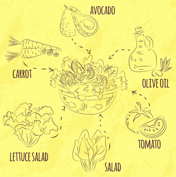 salad cuisine infographic ingredient icons handdrawn sketch