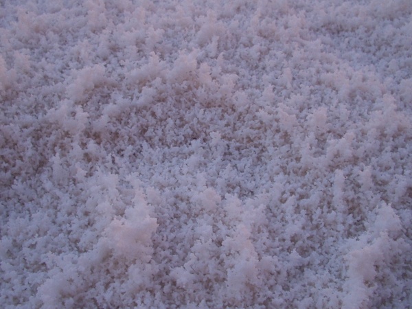 salt salt crust salt lake