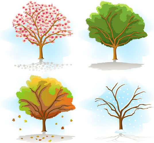 same tree in different seasons