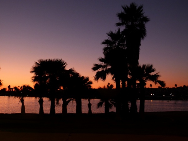 san diego sunset palms