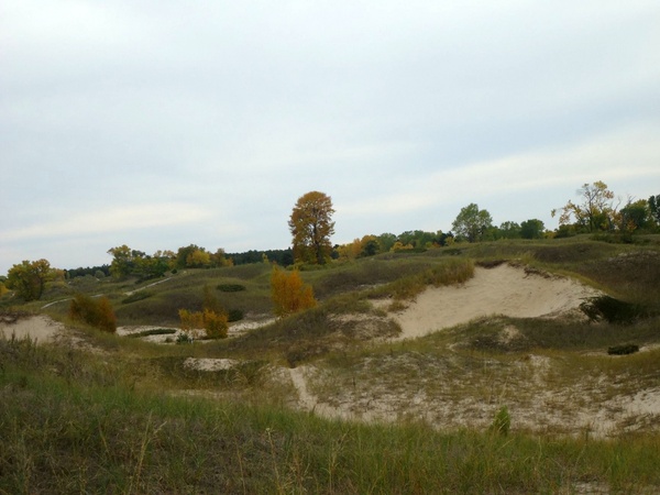 sand dune at kohler andrae state park wisconsin