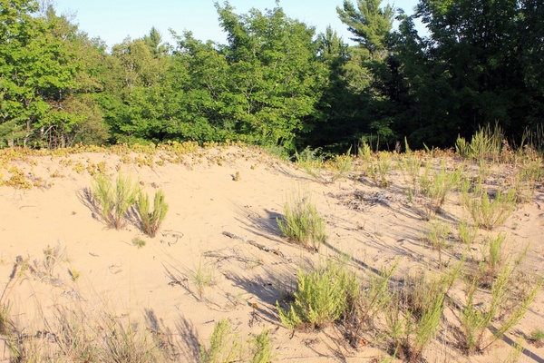 sand dunes at whitefish dunes state park wisconsin
