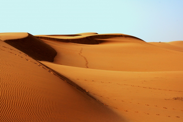 sand dunes desert