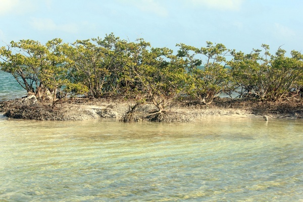 sandbar island at biscayne national park florida 