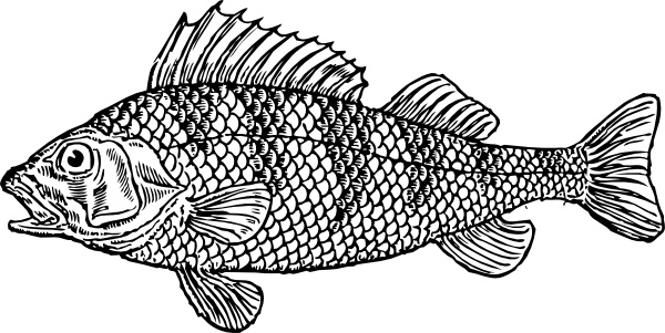 Download Scaly Fish Clip Art Free Vector In Open Office Drawing Svg Svg Vector Illustration Graphic Art Design Format Format For Free Download 300 73kb