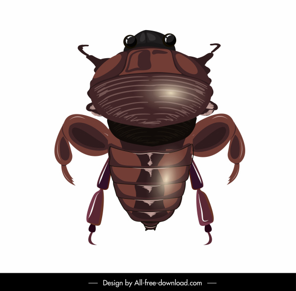 scarab icon shiny brown modern design