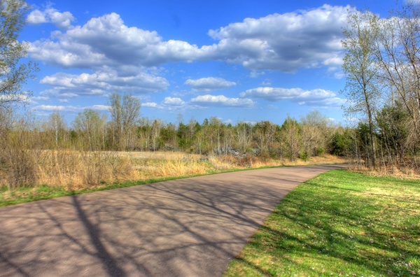 scenic roadway in the black river forest 