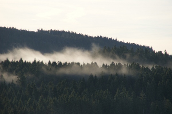schluchsee black forest fog