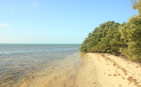 sea and shore at long key state park florida 
