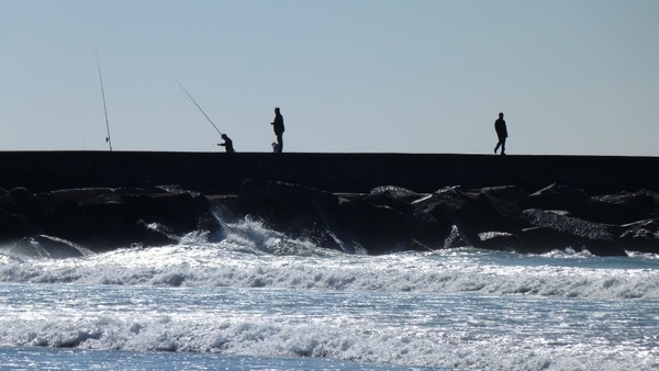 sea back light angler 