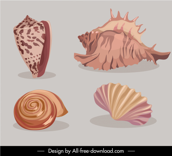 sea shell icons colored classic design