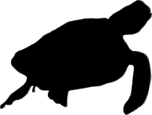 sea turttle silhouette