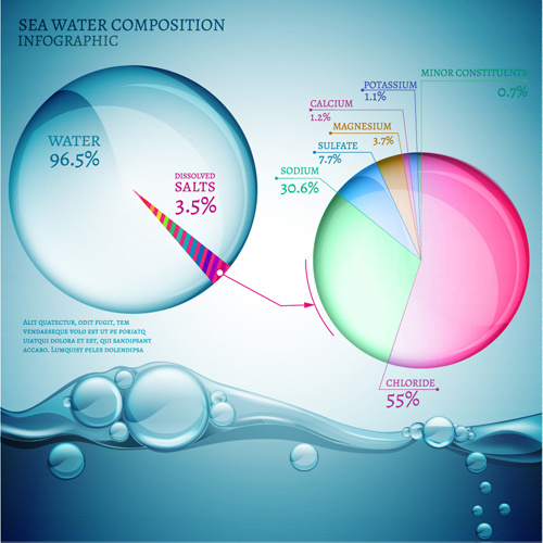 sea water composition infographic vector