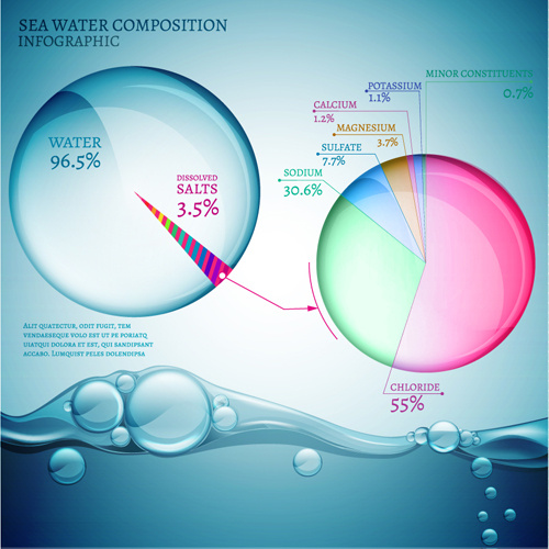 sea water composition infographic vector 