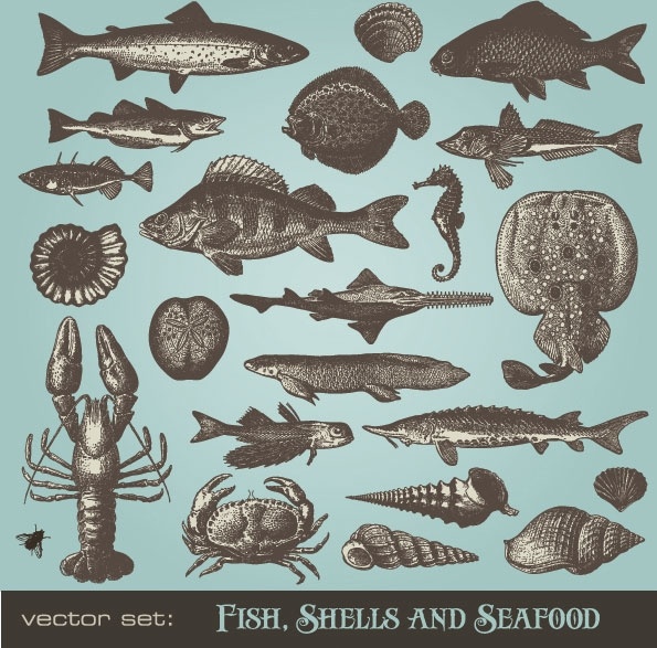 seafood animals vector