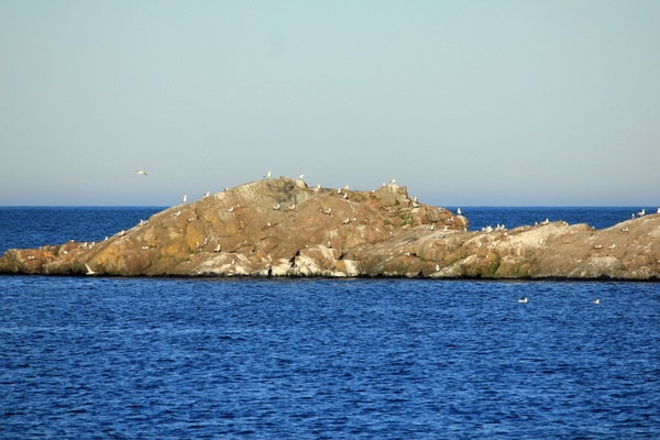 seagull island at sleeping giant provincial park ontario canada