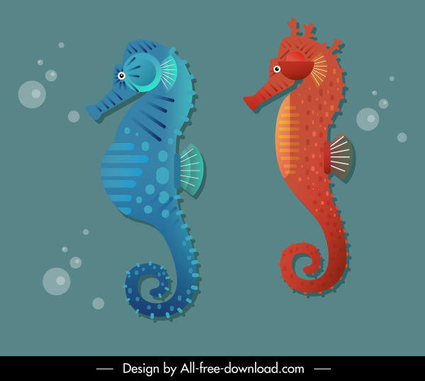 seahorse icons colored flat sketch