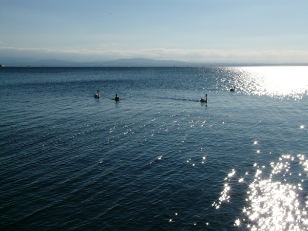 see lake constance waters